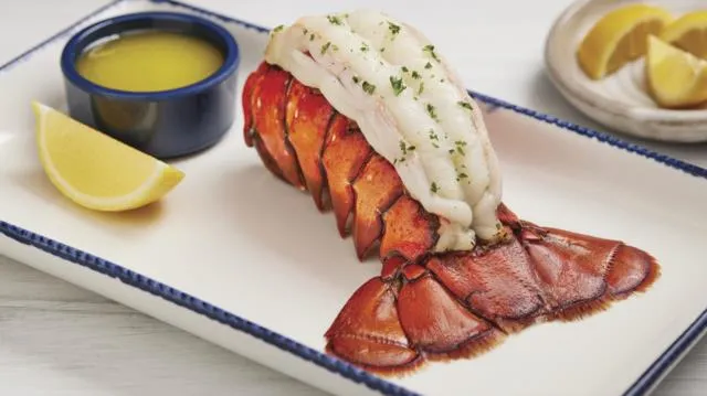 Classic Maine Lobster Tail