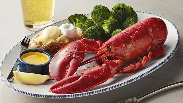 Live Maine Lobster
